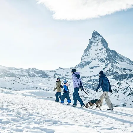 The Nest - Great Overview Zermatt