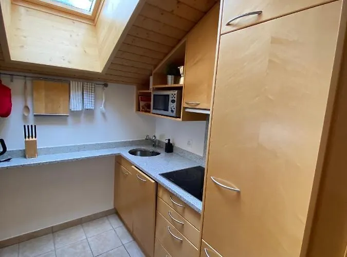 The Nest - Great Overview *