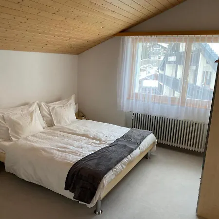 The Nest - Great Overview *